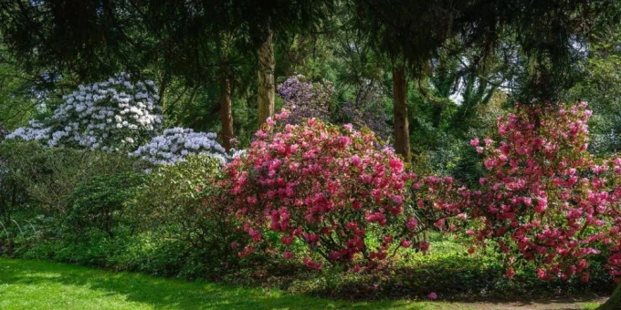 6 musées en fleur