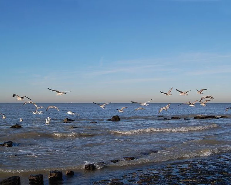 600px-Noordzee