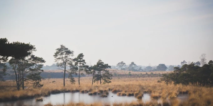 5 Belgische musea midden in de natuur