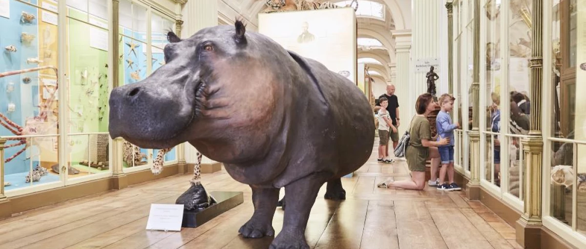 Natuurhistorisch Museum en Vivarium Doornik