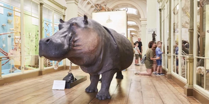 7 musées dédiés aux animaux