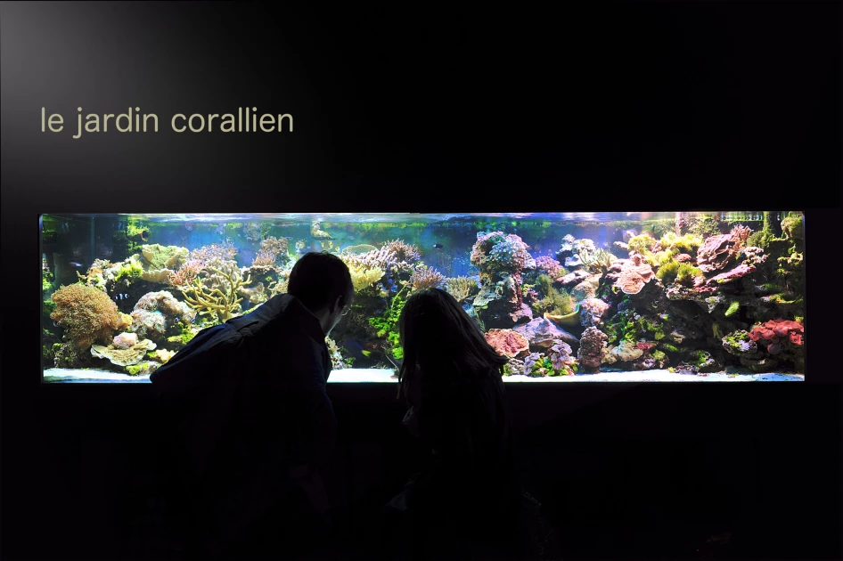 Aquarium-Museum Liége