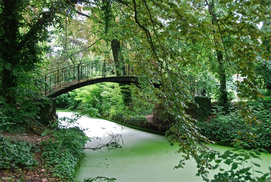 Jardin botanique de Malines