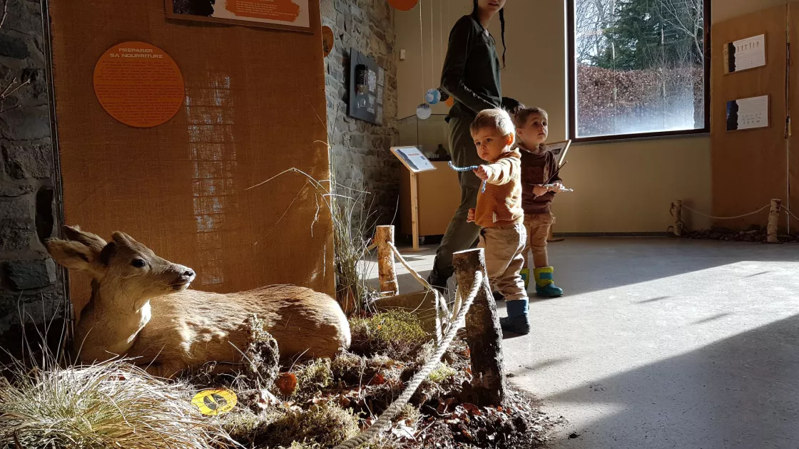 Musée de la Forêt et des Eaux Musée de la Forêt et des Eaux
