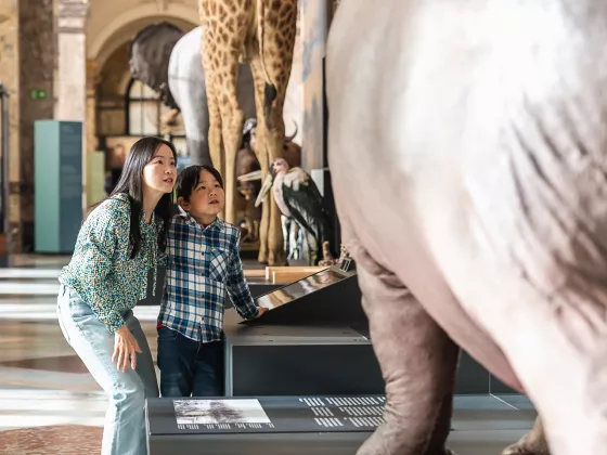 20231101 - MPM - Afrika Museum (c) Martin CorlazzoliCOR06658-v1