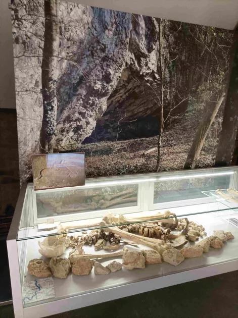 musee-archeologique_prog