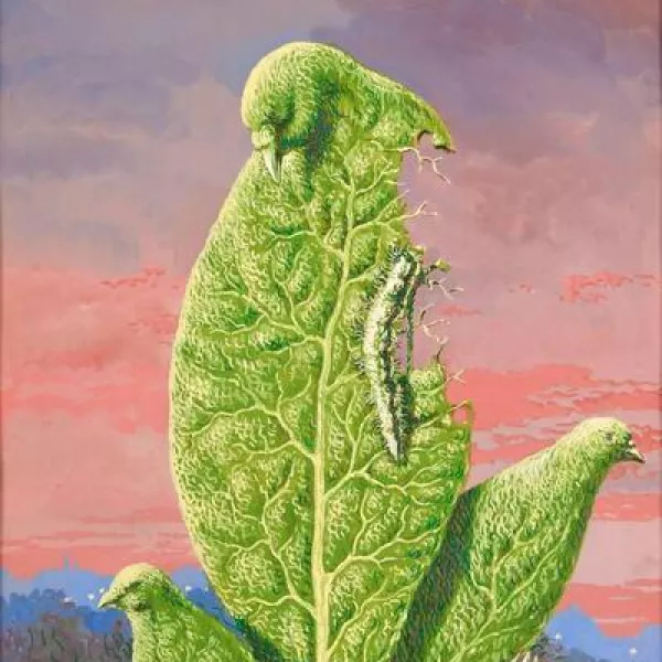 Magritte koop pagina 1-1