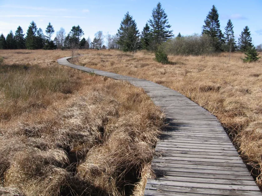 Wandeling-Eupen_prog