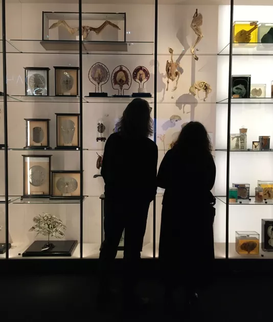 Walt en Estelle in het GUM