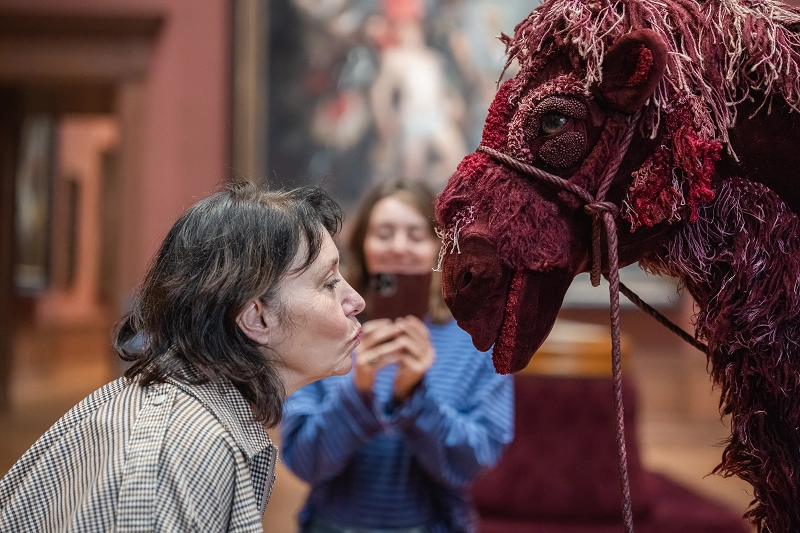 De museumpas | museumPASSmusées