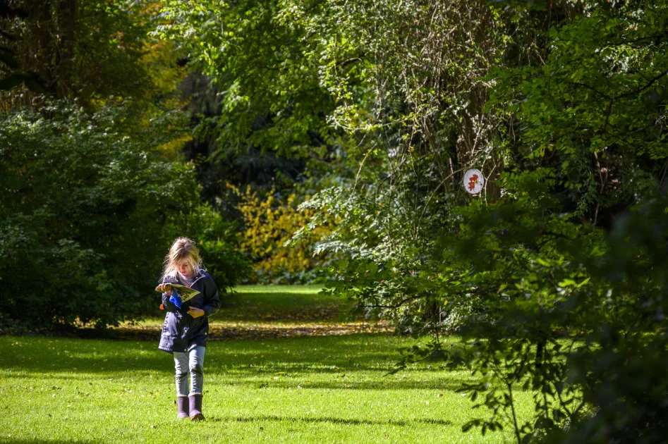 Arboretum Kalmthout