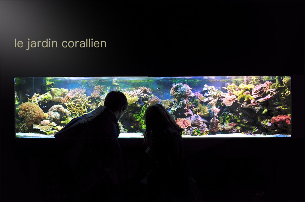 Aquarium-Museum Liège