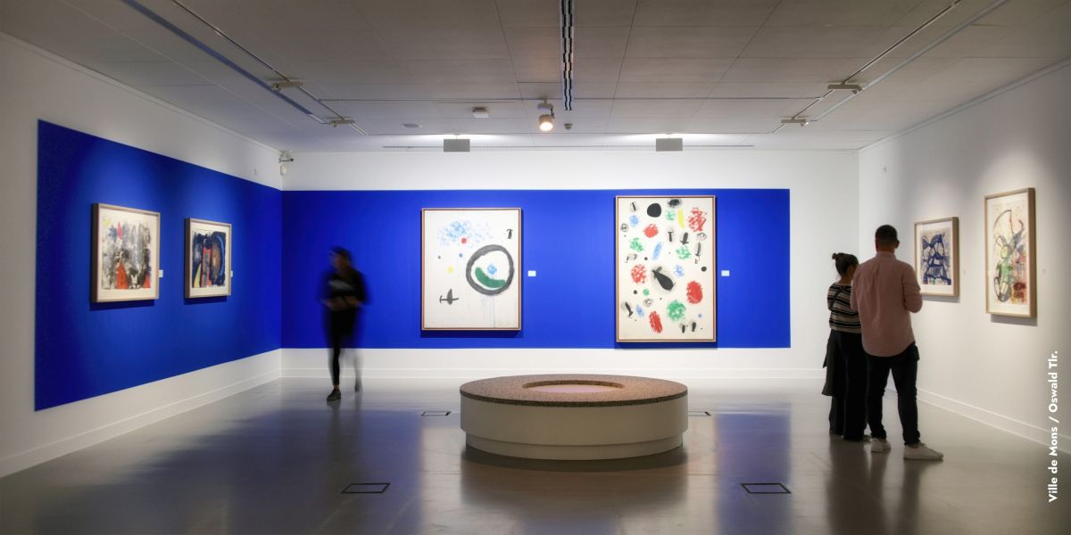 BAM (Beaux Arts Mons) - Expo Miró