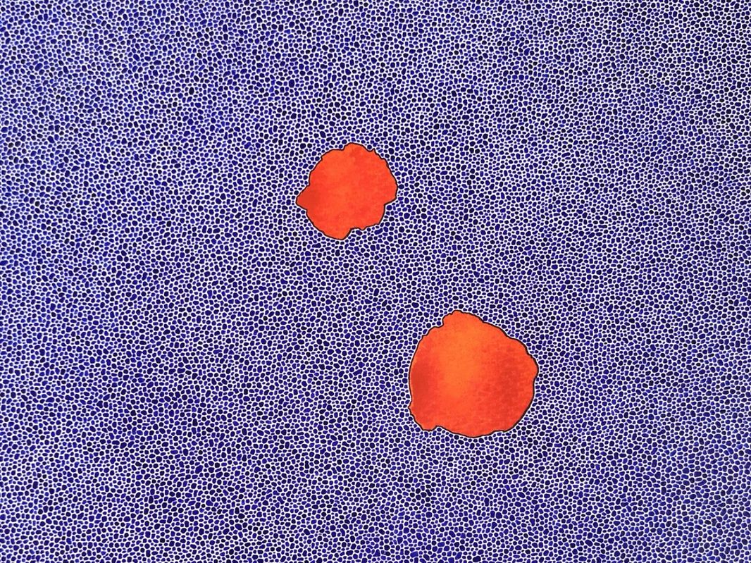 Oranje en blauw (Orange et bleu) - Guillaume Thunis