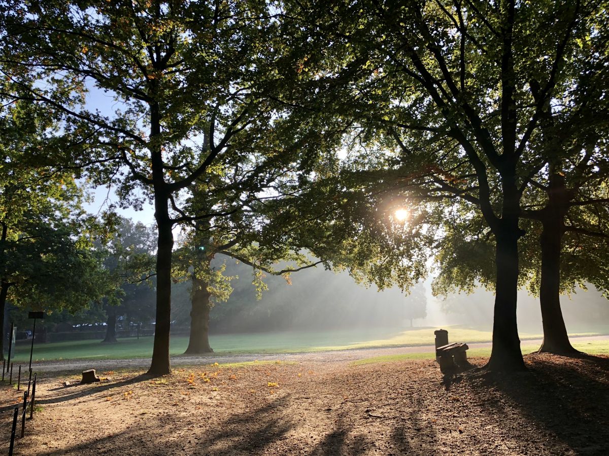 Bois de la Cambre