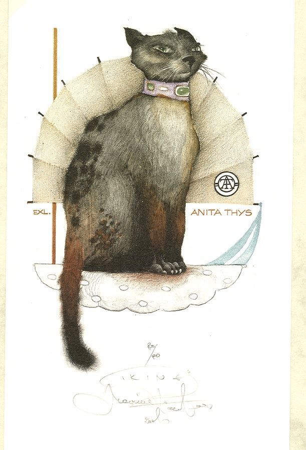 STeM Saint-Nicolas